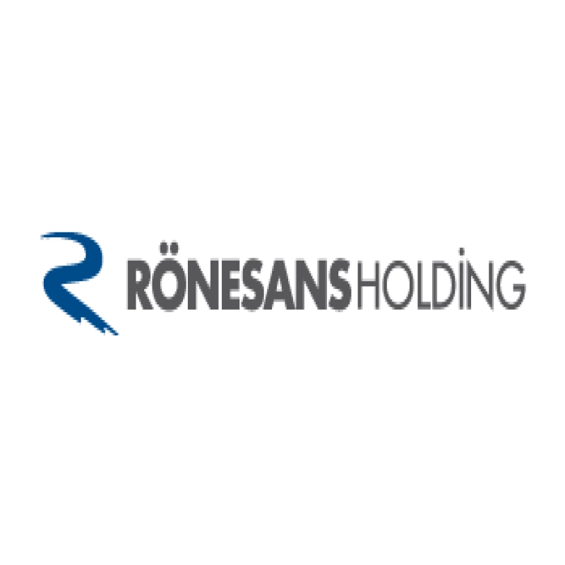 ronesans image